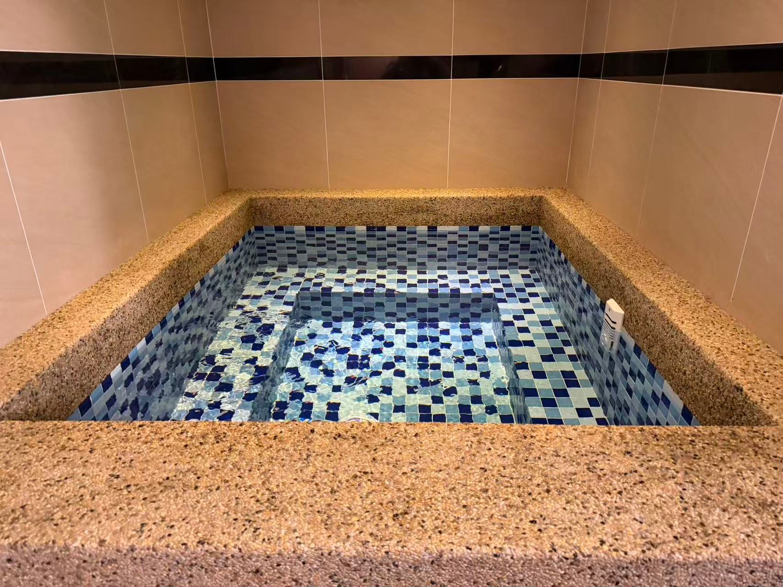 Viva spa cold plunge